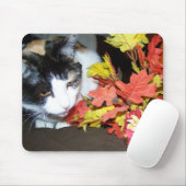 Buntkatze Herbst Blätter Mauspad (Mit Mouse)