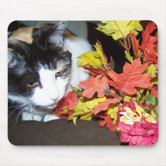 Buntkatze Herbst Blätter Mauspad (Vorne)
