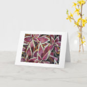 Buntlippe Karte (Gelbe Blume)