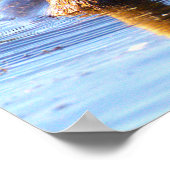 Buntschnabel-Taucher-Vogelposter Poster (Ecke)