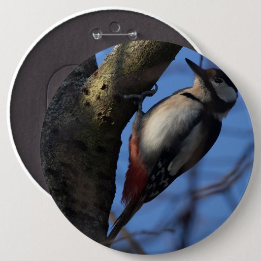 Buntspecht Button (Vorne & Hinten)