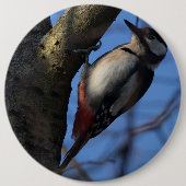 Buntspecht Button (Vorderseite)