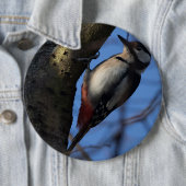 Buntspecht Button (Beispiel)