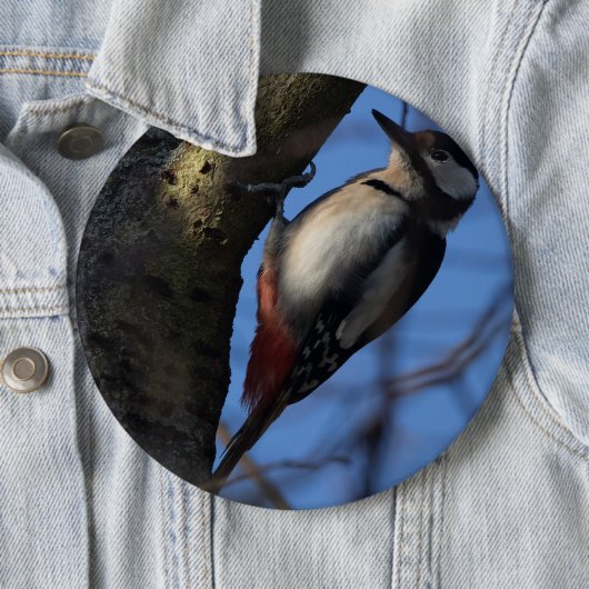 Buntspecht Button (Beispiel)