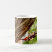Buntspecht-Vogelporträt Kaffeetasse (Mittel)