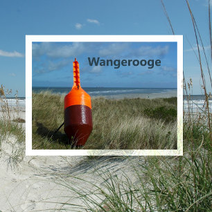 Buoge auf Sanddünen, Strand, Nordsee, Wangerooge Postkarte