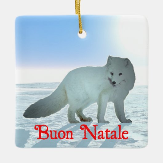 Buon Natale - Arctic Fox Keramikornament (Vorderseite)