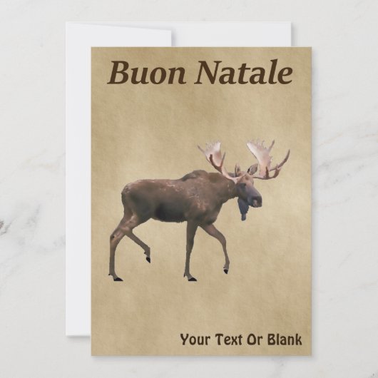 Buon Natale - Bull Moose auf altem Papier (Vorderseite)