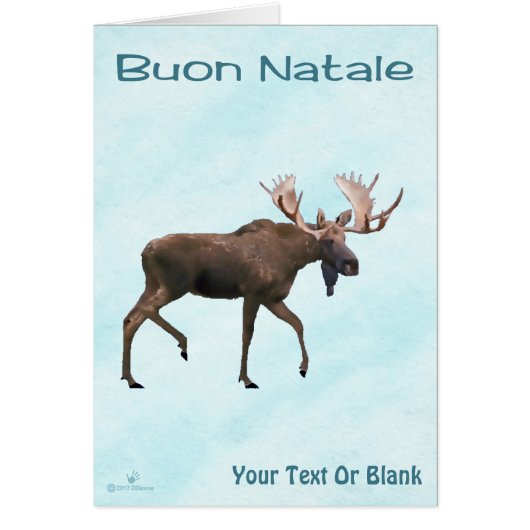 Buon Natale - Bull Moose on Snow (Vorne)