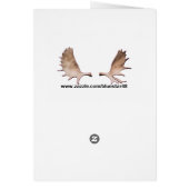 Buon Natale - Intelligenz im Schnee (Hinten)