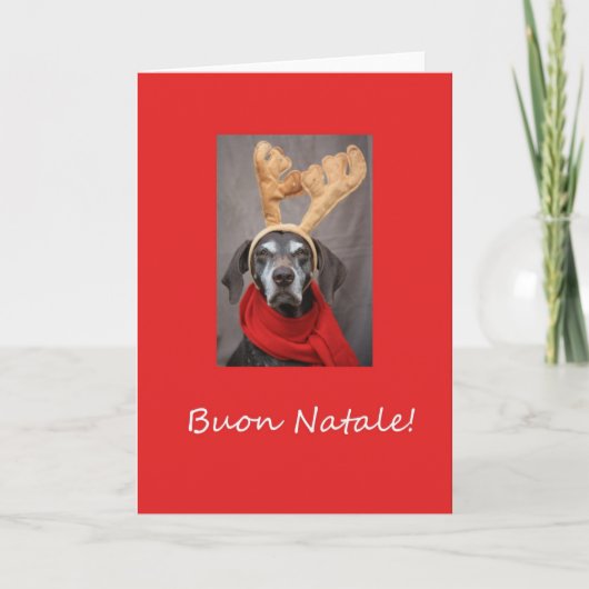 Buon Natale Italian Christmas Card Feiertagskarte (Vorderseite)