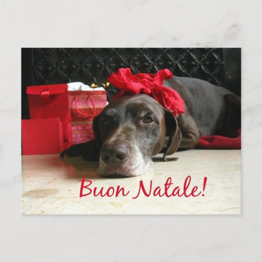 Buon Natale Italian Christmas Card Feiertagspostkarte (Vorderseite)