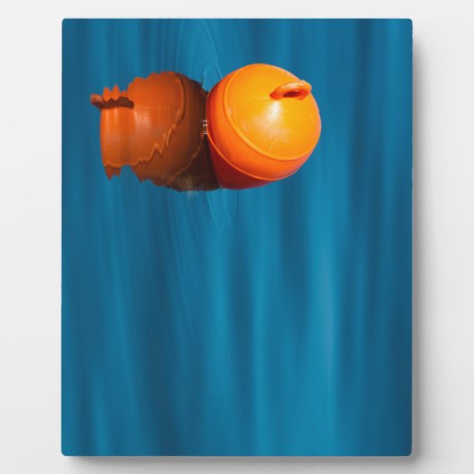 Buoy Fotoplatte (Vorderseite)