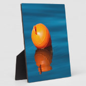 Buoy Fotoplatte (Seite)