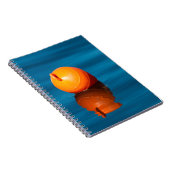 Buoy Notizblock (Rechte Seite)