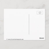 Buoy Shack, Maine Postkarte (Rückseite)