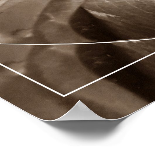 Buquê de folhas poster (Ecke)