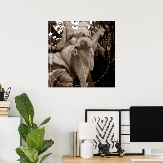 Buquê de folhas poster (Heimbüro)