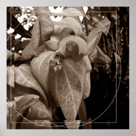 Buquê de folhas poster