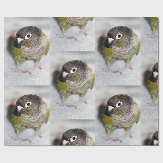 Burbel Geschenkpapier (Flach)