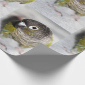 Burbel Geschenkpapier (Ecke)