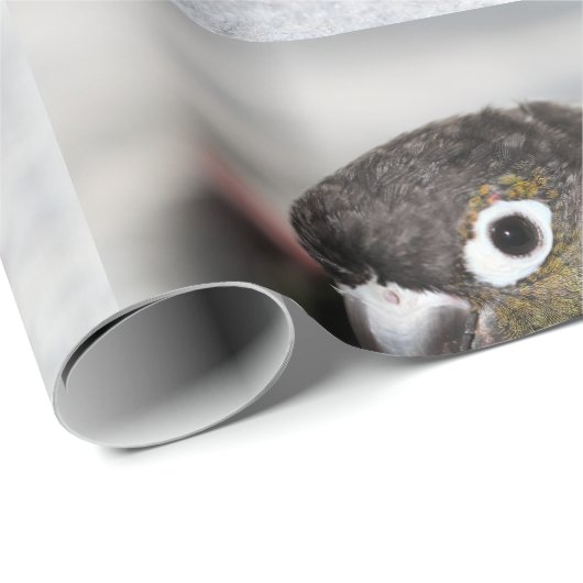 Burbel Geschenkpapier (Rolleneckpunkt)