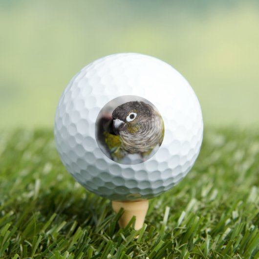 Burbel Golfball (Insitu T-Shirt)