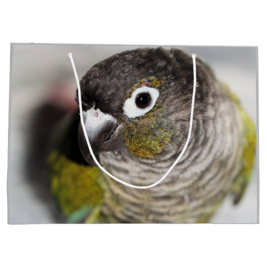 Burbel Große Geschenktüte (Rückseite)