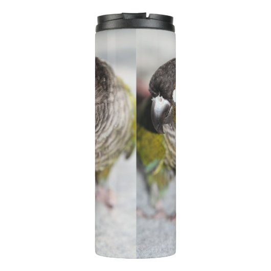 Burbel Thermosbecher (Rückseite)