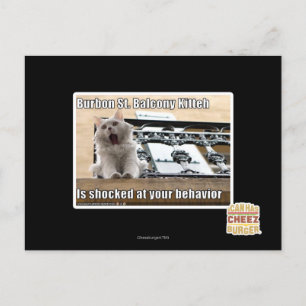 Burbon St. Balcony Kitteh Postkarte