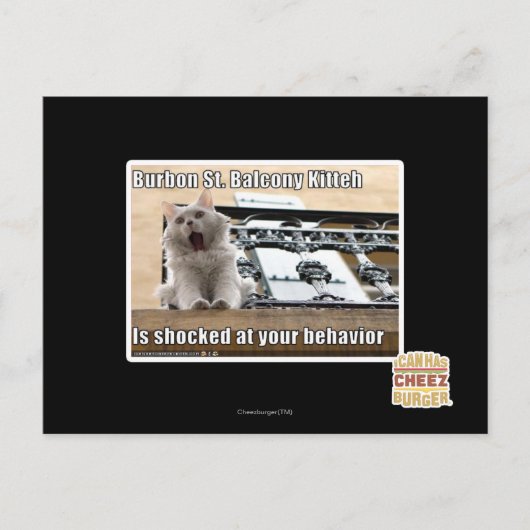 Burbon St. Balcony Kitteh Postkarte (Vorderseite)