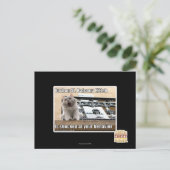 Burbon St. Balcony Kitteh Postkarte (Stehend Vorderseite)