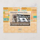 Burbon St. Balcony Kitteh Postkarte (Vorderseite)