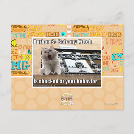 Burbon St. Balcony Kitteh Postkarte (Vorderseite)