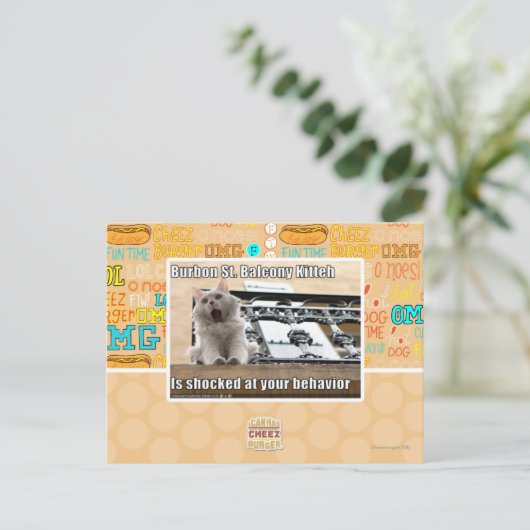 Burbon St. Balcony Kitteh Postkarte (Stehend Vorderseite)