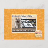 Burbon St. Balcony Kitteh Postkarte (Vorderseite)