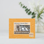 Burbon St. Balcony Kitteh Postkarte (Stehend Vorderseite)