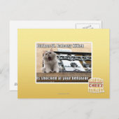 Burbon St. Balcony Kitteh Postkarte (Vorne/Hinten)