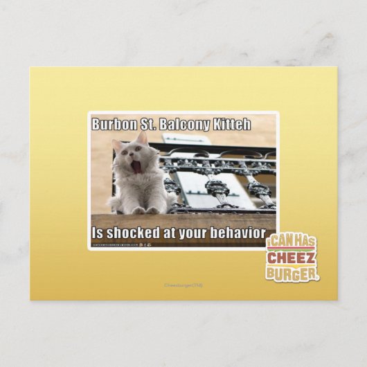 Burbon St. Balcony Kitteh Postkarte (Vorderseite)