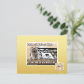 Burbon St. Balcony Kitteh Postkarte (Stehend Vorderseite)