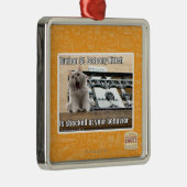 Burbon St.-Balkon Kitteh Silbernes Ornament (Rechts)