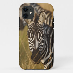 Burchell-Zebra im hohen Sommergras, Masai Case-Mate iPhone Hülle