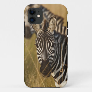 Burchell-Zebra im hohen Sommergras, Masai iPhone 11 Hülle