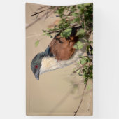 Burchell's Coucal Banner (Vertikal)