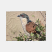 Burchell's Coucal Fleecedecke (Vorderseite (Horizontal))
