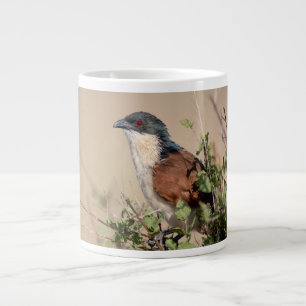 Burchell's Coucal Jumbo-Tasse