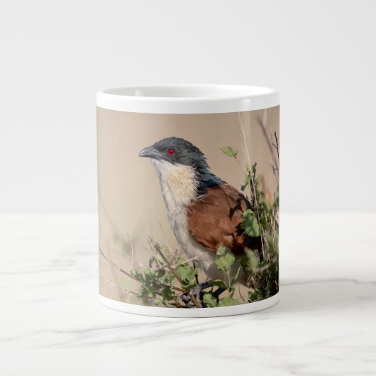 Burchell's Coucal Jumbo-Tasse (Vorderseite)