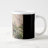 Burchell's Coucal Jumbo-Tasse (Rechts)