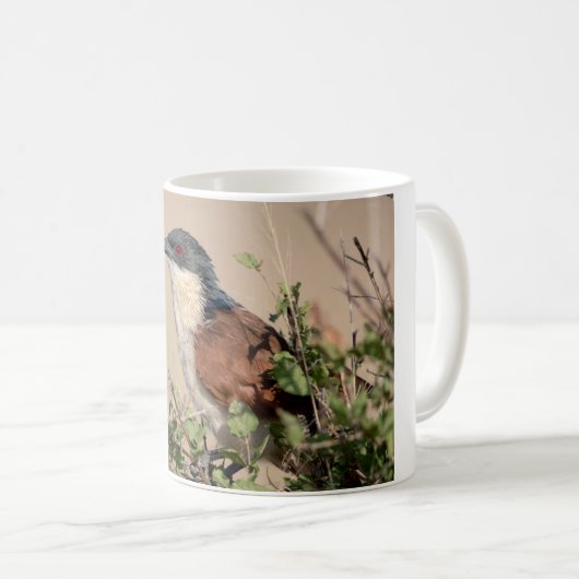 Burchell's Coucal Kaffeetasse (VorderseiteRechts)