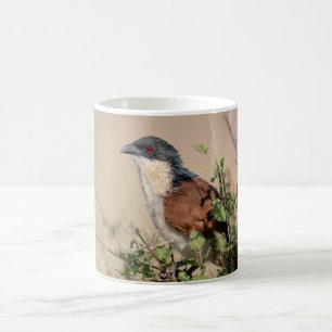 Burchell's Coucal Kaffeetasse